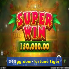 365gg.com-fortune tiger