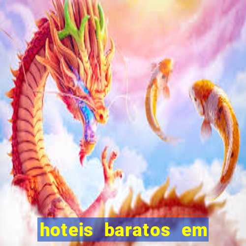 hoteis baratos em cruzeiro sp