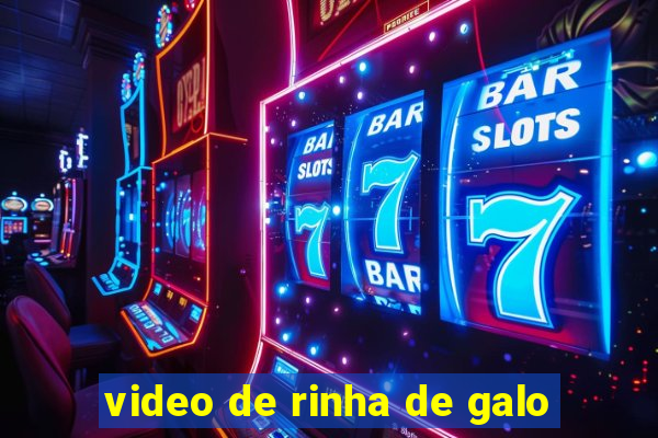 video de rinha de galo