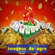 imagens de agro racoes guarani