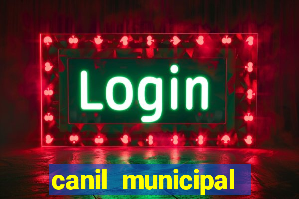 canil municipal porto alegre