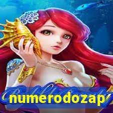 numerodozap